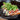 GRILLED SALMON WITH MISO CRUST